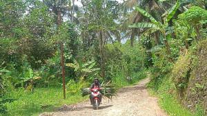 jalan-parungponteng-makadam.jpg