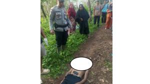 kakek-ocang-kalah-duel-dengan-king-kobra.jpg