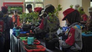 kelas-edukasi-tabulampot.jpg