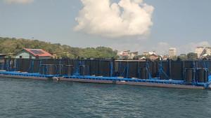 keramba-jaring-apung-pangandaran.jpg