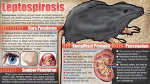 leptospirosis_20180322_193052.jpg