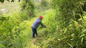 lokasi-penemuan-perempuan-setengah-bugil-di-Parongpong-Bandung-Barat.jpg