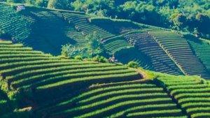 objek-wisata-terasering-panyaweuyan-majalengka-12.jpg