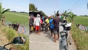 odong-odong-nyemplung-ke-sawah-di-Indramayu.jpg