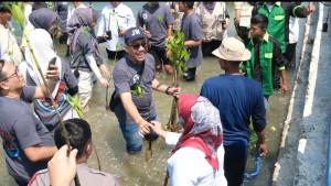 pertamina-patra-niaga-tanam-bibit-mangrove.jpg