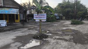 pohon-pisang-di-tengah-jalan-rusak.jpg