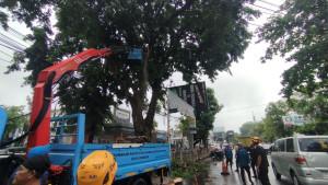 pohon-tumbang-di-kota-cirebon.jpg
