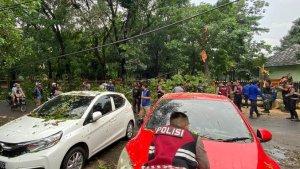 pohon-tumbang-yang-menimpa-mobil-di-Jalan-Cisadea-Kota-Bandung.jpg