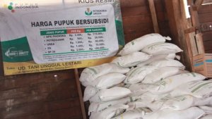 jabar/pupuk-subsidi_20171029_211308.jpg