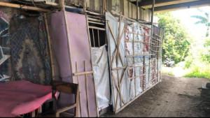 rumah-bedeng-tempat-tinggal-Hafidz-atau-Kafid-di-kolong-jembatan-di-demak.jpg
