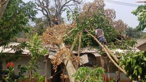rumah-warga-di-dua-kecamatan-di-Kabupaten-Cianjur-rusak-diterjang-angin-kencang.jpg
