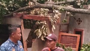 sUKABUMI-tumbang-menimpa-rumah-warga-di-Kampung-Tegal-Desa-Cibodas.jpg