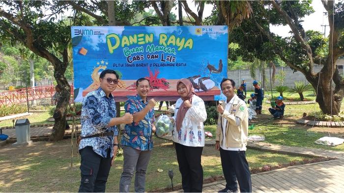 Buktikan Ramah Lingkungan, PLTU Palabuhanratu Panen Mangga, Cabai dan Lele