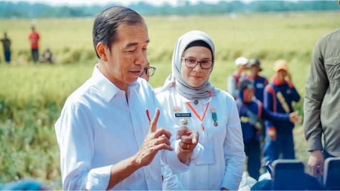 1-Presiden-Jokowi-Panen-Padi-di-Indramayu-Kabupaten-Penghasil-Padi.jpg