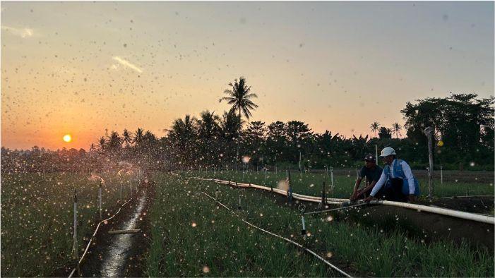 Tarif Listrik Triwulan III 2026 Tetap, PLN Jaga Layanan dan Dukung Kebijakan Pemerintah - Tribunjabar.id