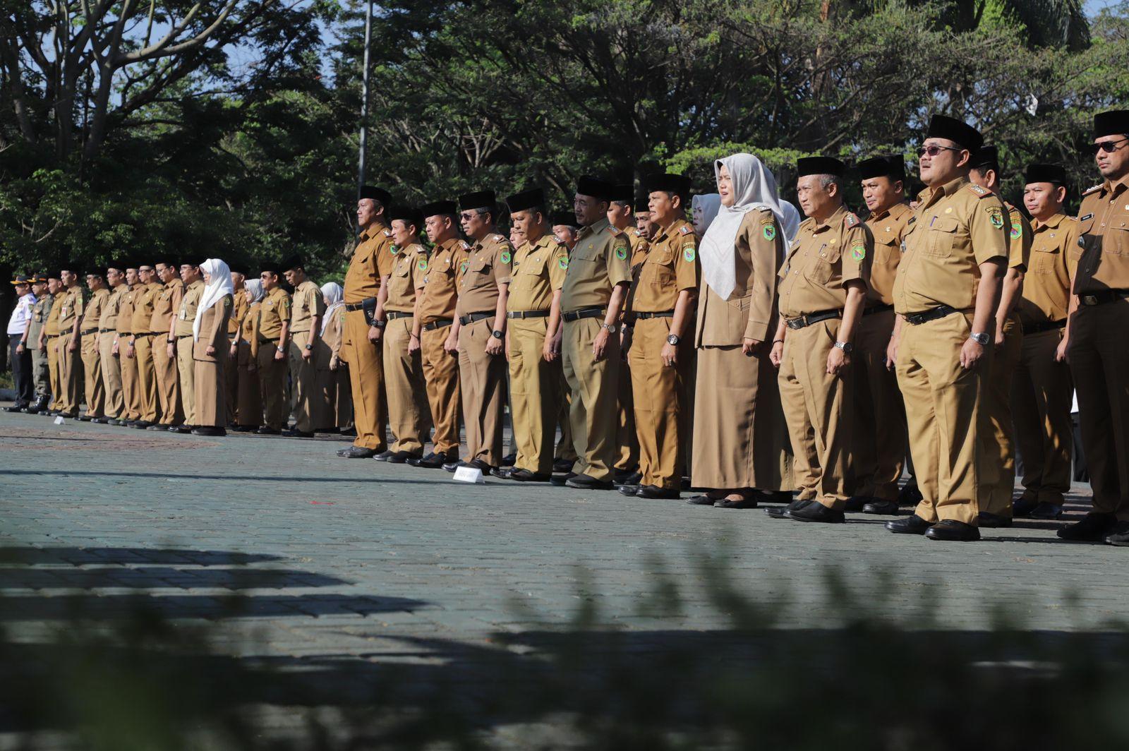 Deretan 14 Instansi dengan Kuota Formasi Terbanyak pada Seleksi CPNS 2024, Ada Instasi Pilihanmu?