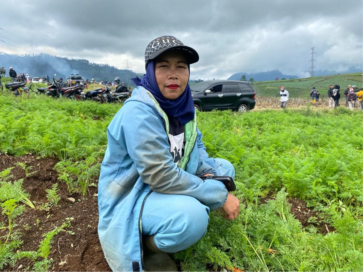 Kisah Ai, Pemetik Teh di Pangalengan Bandung yang Kehilangan Pendapatan karena Alih Fungsi Lahan