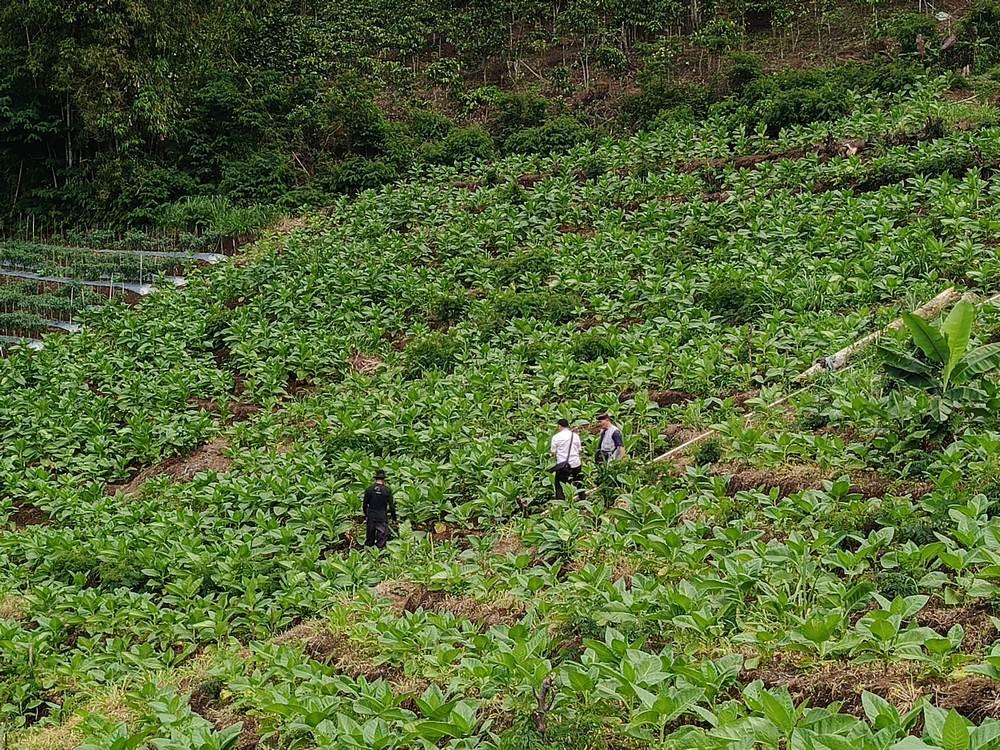Wisata Bukit Baros Panjalu: Perpaduan Keindahan Objek Wisata Alam dengan Agrowisata