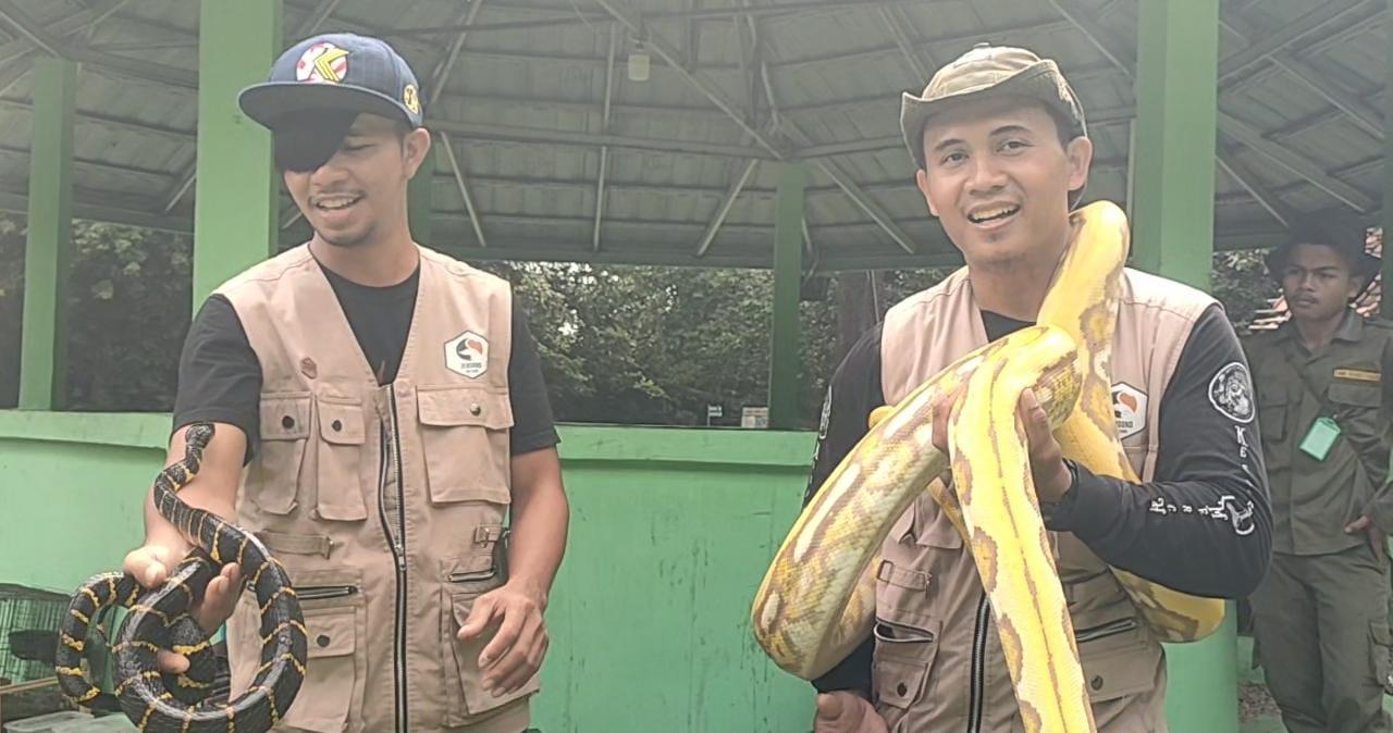 DEDen-taufik-reptil-pangandaran.jpg