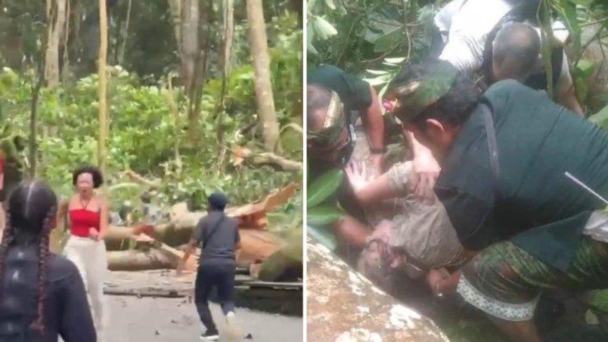 Detik-detik-pohon-tumbang-di-Monkey-Forest-Ubud-menimpa-turis-asing-hingga-tewas.jpg