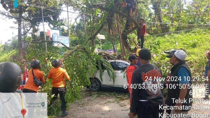 Dua-kendaraan-berupa-mobil-dan-motor-tertimpa-pohon-tumbang-di-Jalan-Raya-Ciawi-Sukabumi.jpg