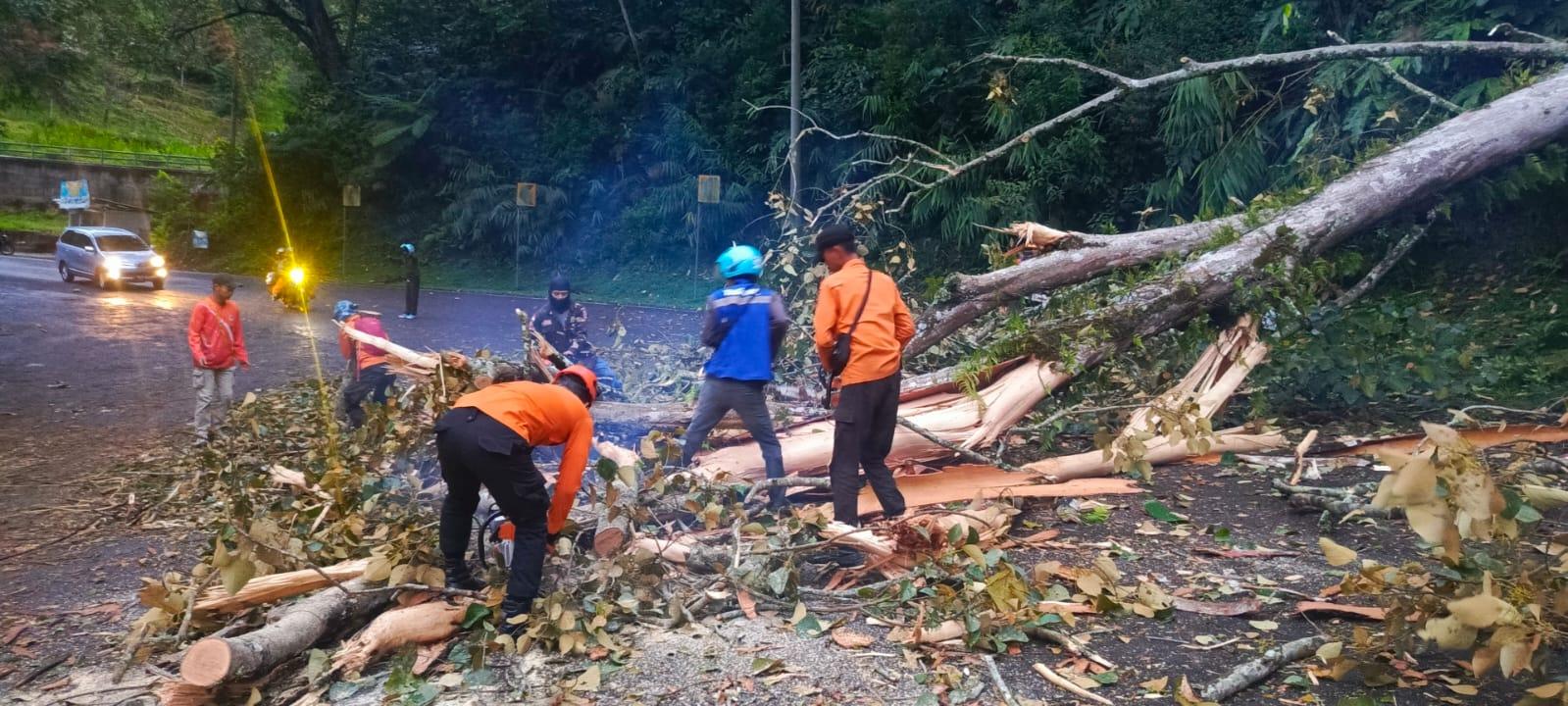 Evakuasi-Pohon-tumbang-di-kawasan-Tanjakan-Emen-111.jpg