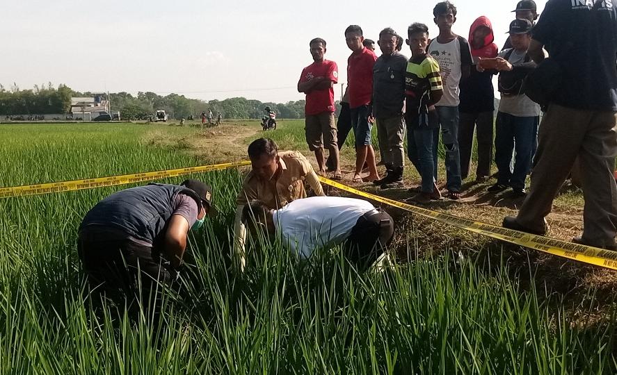 Tidak Pulang Sejak Minggu, Seorang Kakek Ditemukan Meninggal di Pematang Sawah