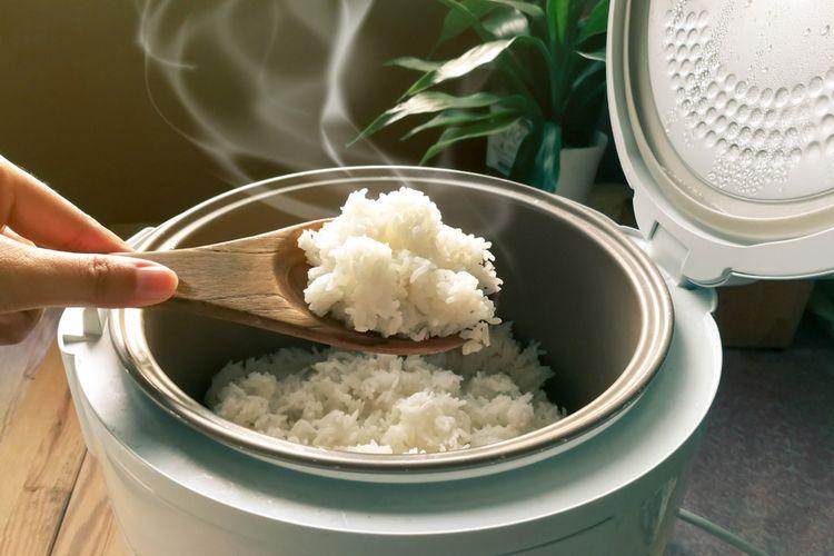 Siap-siap Akhir November 2023 Pemerintah Bagikan Rice Cooker Gratis, Simak Syarat-syaratnya