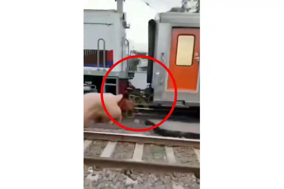 Kisah Heroik Railfans Spontan Teriaki Masinis Lihat Sambungan Kereta Api Lepas di Pasar Senen