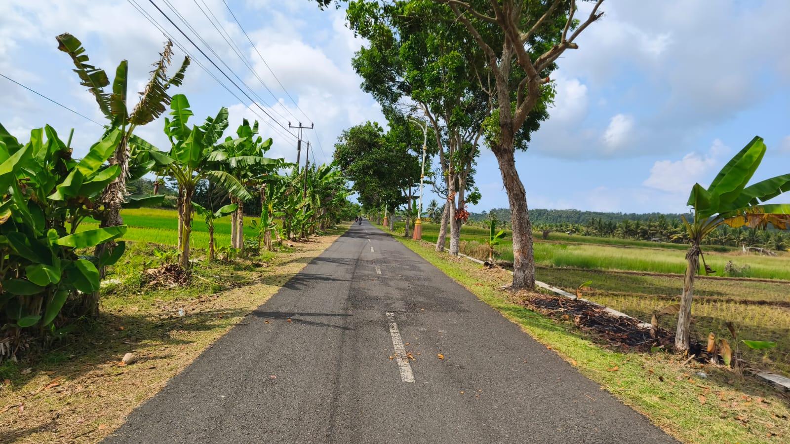 Intip Kondisi Jalan Kalipucang-Majingklak: Akses Utama yang Kerap Terendam Luapan Citanduy