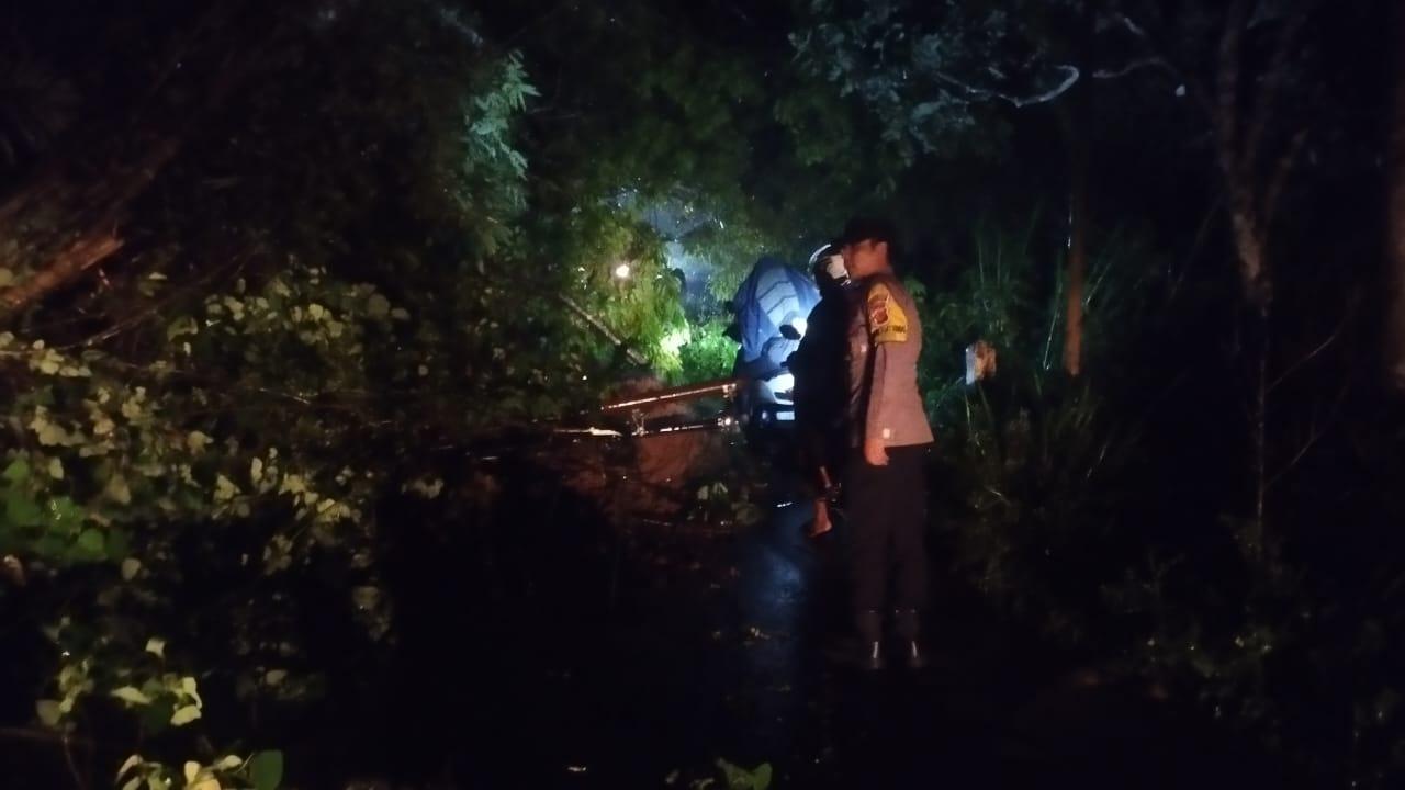 BREAKING NEWS: Dampak Hujan Ekstrem, Jalur Panjalu-Sukamantri Ciamis Terputus Tertutup Longsor