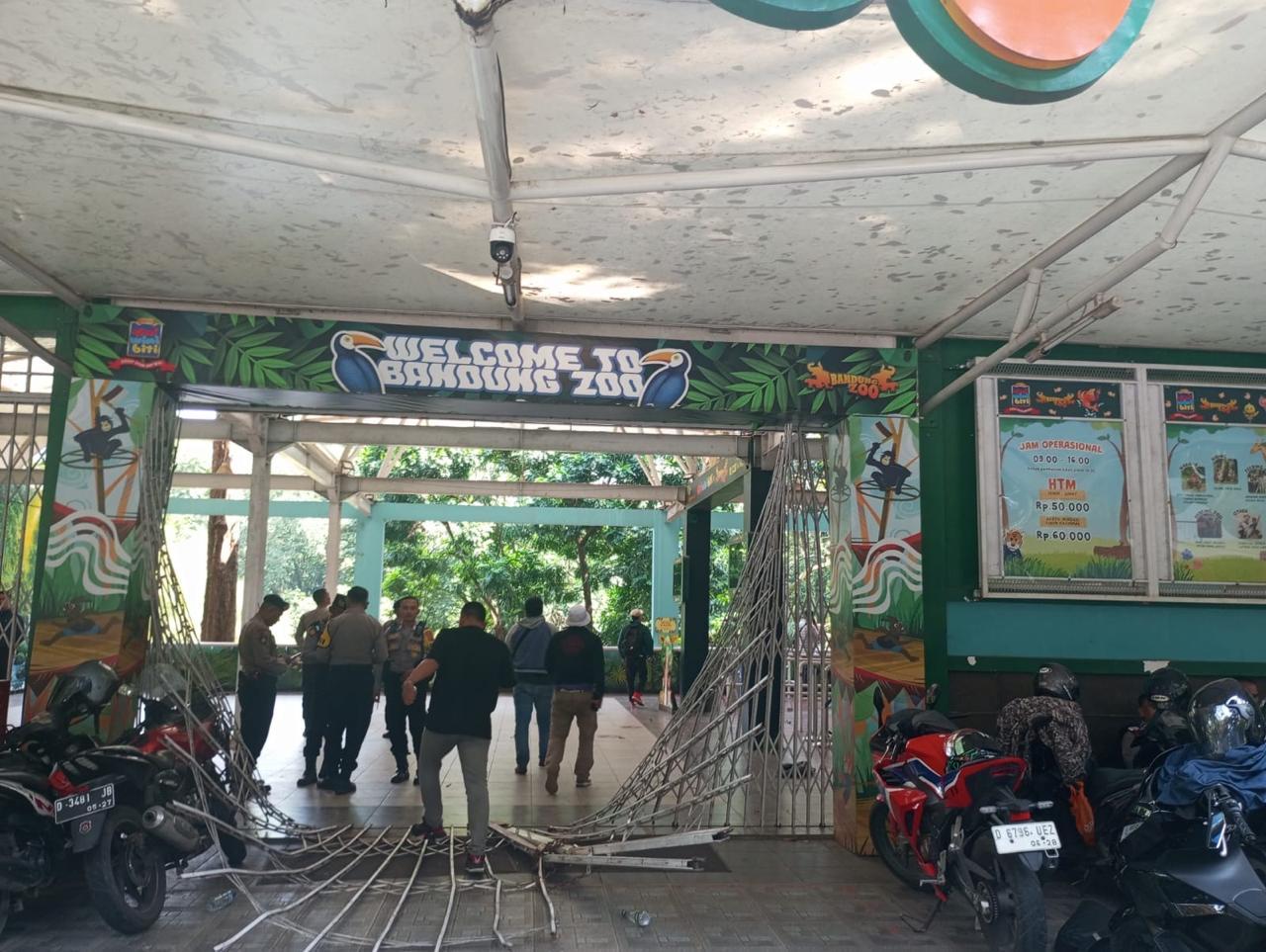 Buntut Ricuh di Bandung Zoo, Pemkot Ancam akan Ajukan Cabut Izin ke Kemnehut Jika Tak Berdamai