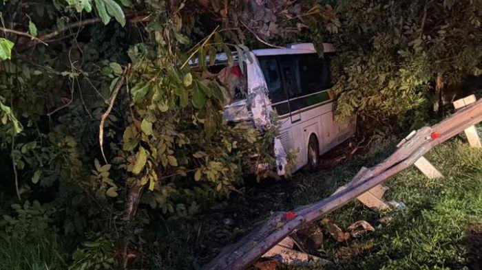 Kondisi-bus-Sinar-Jaya-yang-terperosok-kecelakaan-tol-cipali-purwakarta.jpg
