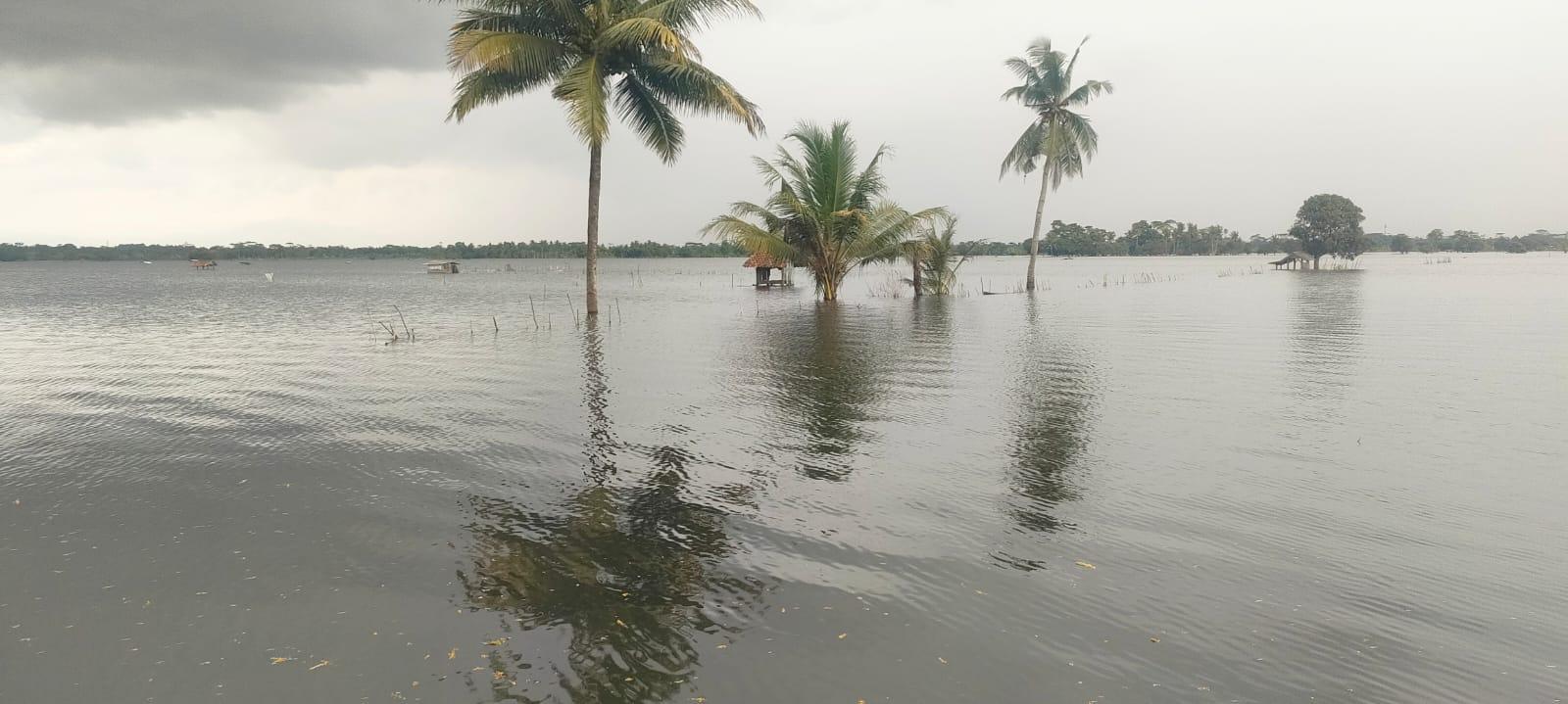 Kondisi-terkini-banjir-di-ratusan-hektare-l.jpg
