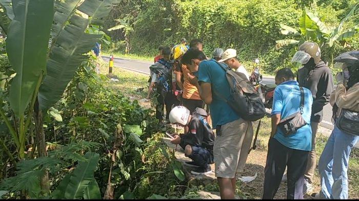 Gegerkan Warga, Jasad Perempuan Ditemukan di Semak-semak Pinggir Jalan Kalipucang Pangandaran
