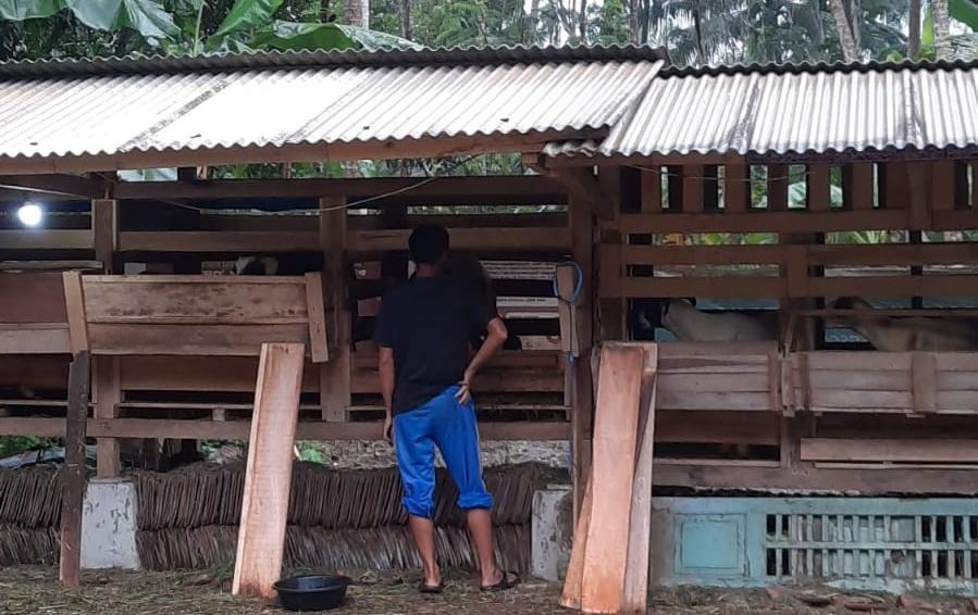 Jelang Iduladha, Peternak di Sumedang Diminta Waspada Maling ternak, Ada 2 Modus Rawan