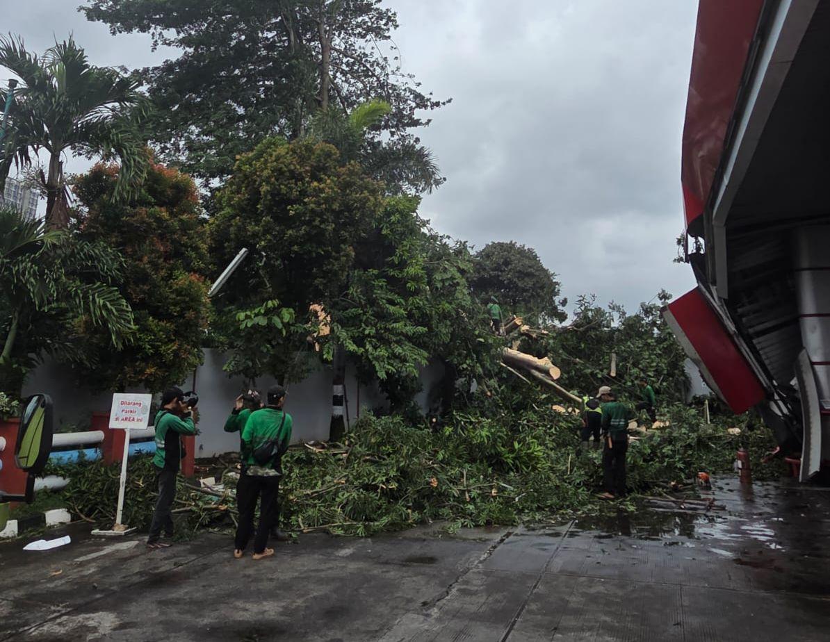 PT-Pertamina-Patra-Niaga-Regional-JBB-menindaklanjuti-insiden-pohon-tumbang.jpg