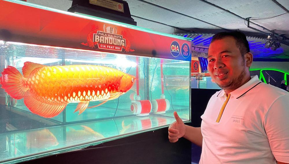 Pemilik-ikan-arwana-Chandra-Helman-saat-berfoto-dengan-ikan.jpg