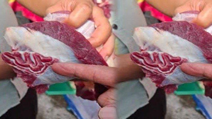Penemuan-potongan-daging-kurban-berserat-membentuk-lafaz-Allah.jpg