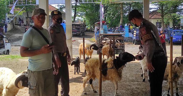 Pastikan Hewan yang Dijual Bebas PMK Jelang Iduladha, Sat Samapta Polres Ciamis Patroli Pasar Ternak