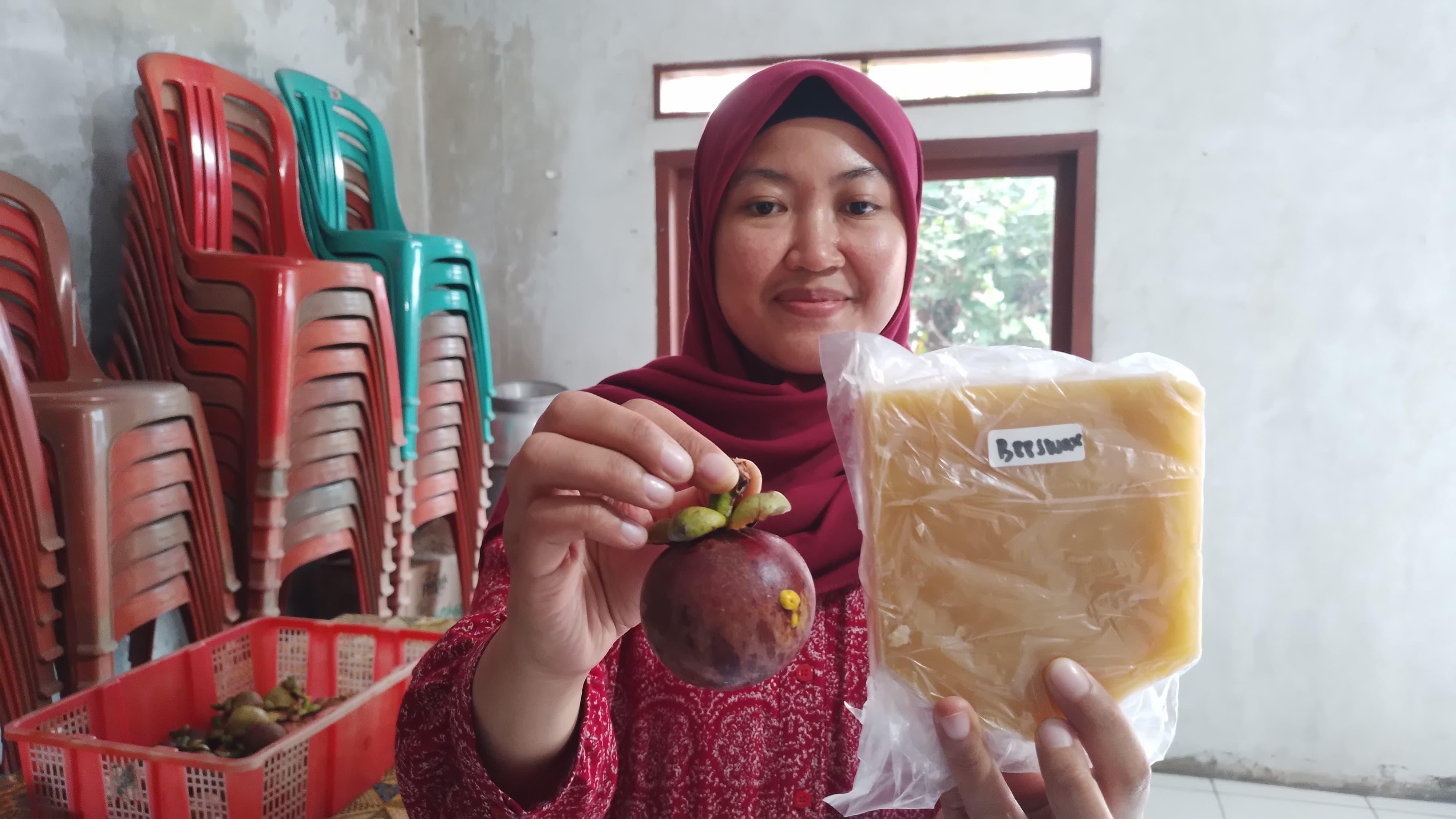 Petani-manggis-di-Cipancar-Sumedang-mendapatkan.jpg