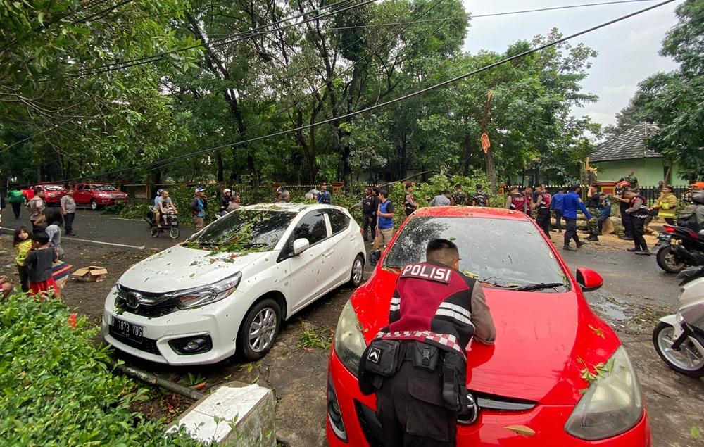 Pohon-tumbang-di-Jalan-Cisadea.jpg