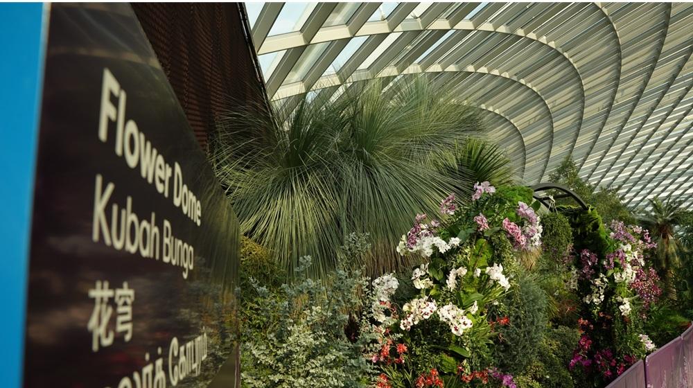 Potret-Flower-salah-satu-destinasi-wisata-di-Singapura.jpg
