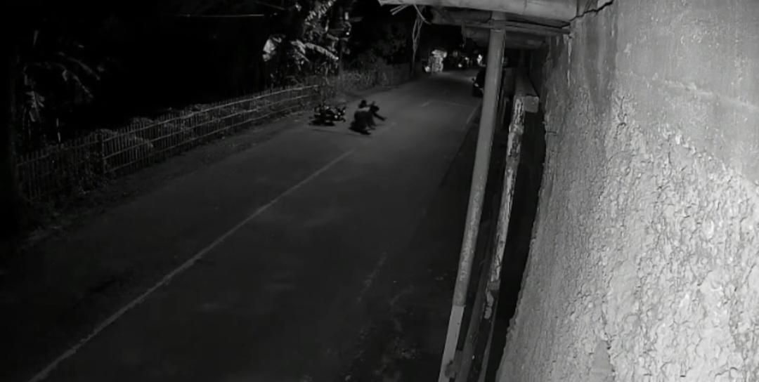 Aksi Begal Sadis di Kota Bandung Disoroti Atalia, Farhan Beri Solusi Patroli dan Siskamling - Tribunjabar.id