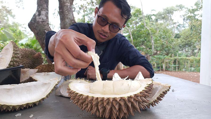 Kuliner yang Bikin Ngiler, Nikmatnya Berbagai Durian di Riung Durian Sukabumi, Manis dan Gak Puyeng