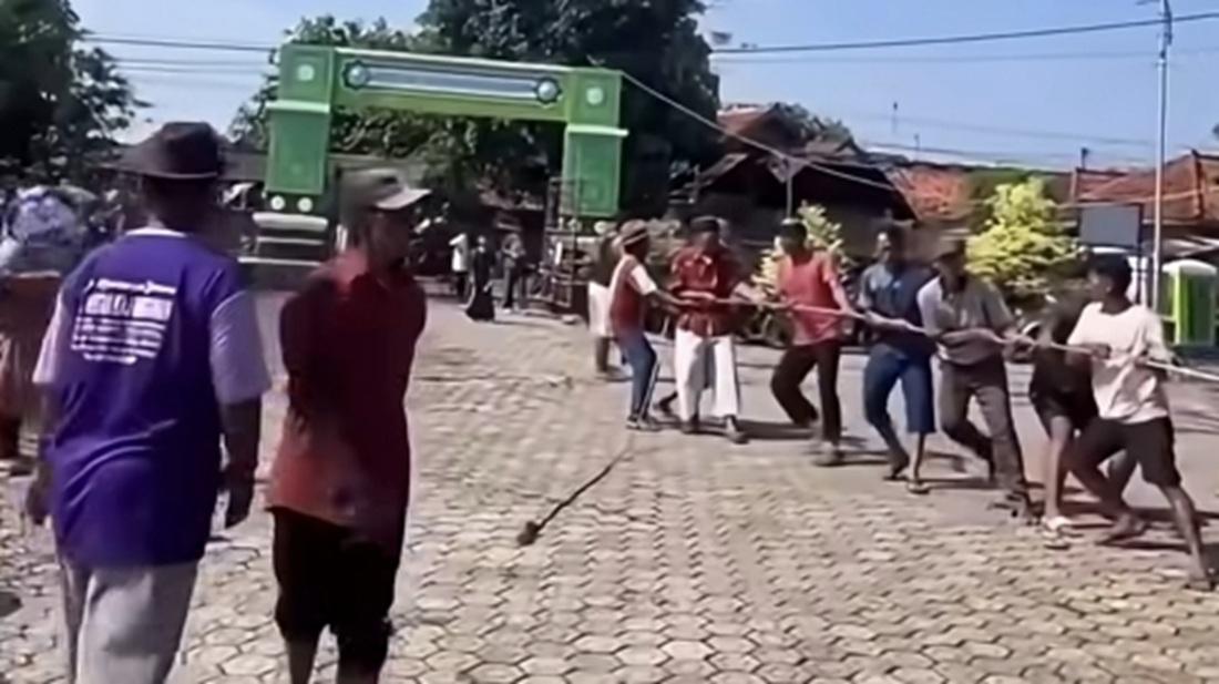 Detik-detik Sapi Kurban Mengamuk di Kroya Indramayu, Motor Diseruduk, Warga Berhamburan