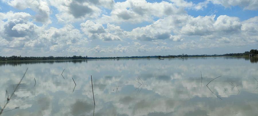 Ratusan Hektare Sawah di Pangandaran Terendam Banjir, Petani Butuh Pompa Besar Untuk Sedot Air