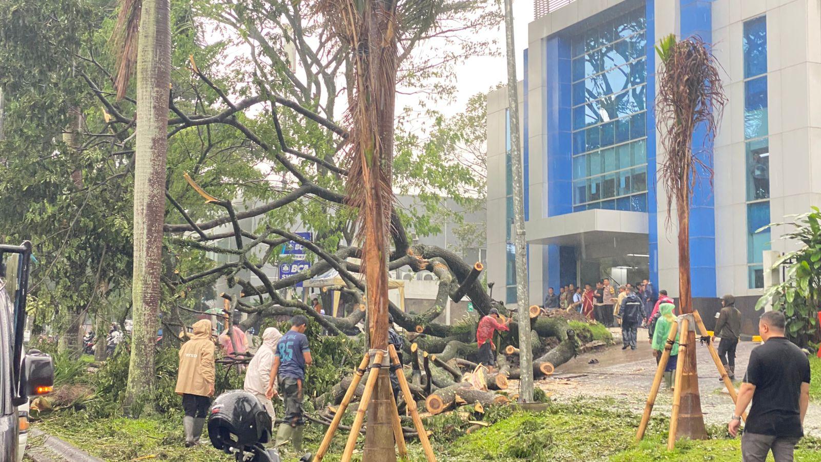 Sebuah-pohon-berukuran-jumbo-tumbang-diter.jpg
