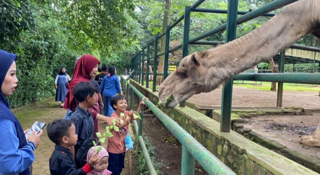 Suasana-Bandung-Zoo-kembali-dibuka-pada-momentum-Natal-2025.jpg