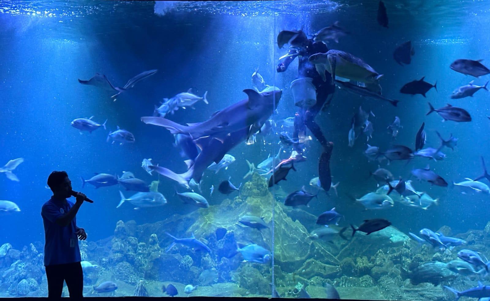 Suasana-kunjungan-wisata-di-Aquarium-Indonesia.jpg